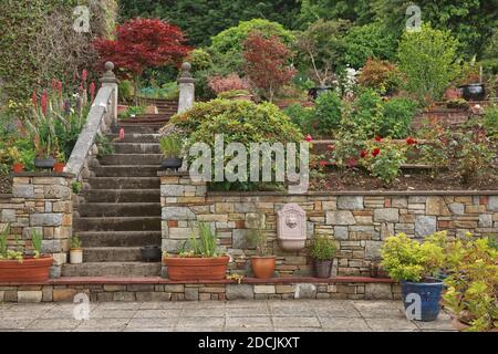 Natursteinstufen und Stützmauer, Pflanzmaschine und Gartengrenze umrahmt Hauseingang. Schöne Hardscape, bunte Landschaftdesign. Stockfoto