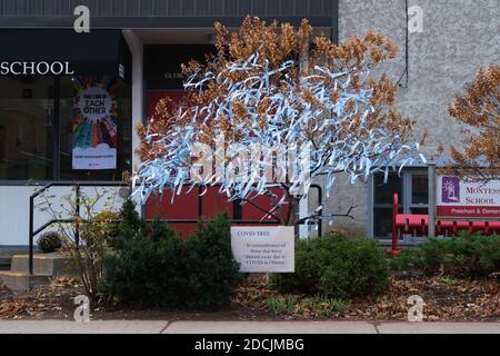 Ottawa, 21. November 2020. Covid Tree, ein Baum, der vor der Schule mit je einem Band aufgestellt wurde, um an diejenigen zu erinnern, die in der Stadt an Viren gestorben sind Stockfoto