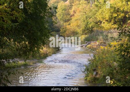Sanft fließender Abschnitt für den Bowmanville Creek, Ontario mit Bäumen am Ufer mit spätsommerlicher Farbe in den Bäumen Stockfoto