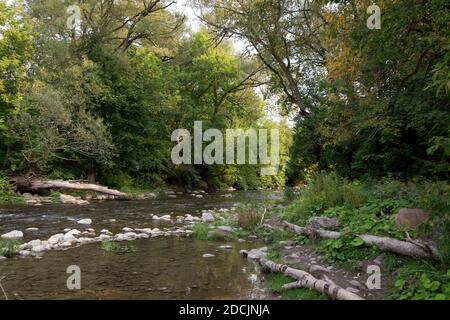 Friedlicher Abschnitt des Bowmanville Creek in Ontario Kanada, ein Forellenbach mit von Bäumen gesäumten Ufern Stockfoto