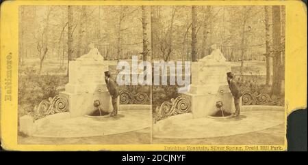 Trinkbrunnen, Silberquelle, Druid Hill Park., Standbild, Stereographen, 1850 - 1930 Stockfoto