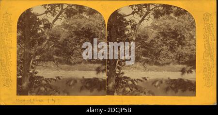 Szene auf dem des Plaines Fluss., Standbild, Stereographien, 1870, Greene, P. B Stockfoto