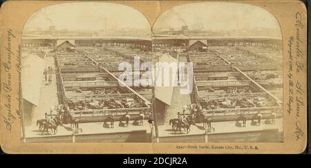 Stock Yards, Kansas City, Missouri., Standbild, Stereographen, 1850 - 1930 Stockfoto