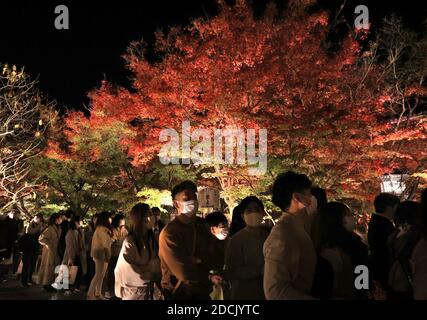 Kyoto, Japan. November 2020. Am Samstag, den 21. November 2020, genießen die Menschen die beleuchteten Herbstblätter im Eikando-Tempel in Kyoto. Die Menschen genossen farbenfrohe Herbstfärbung in Japans alter Hauptstadt inmitten des Ausbruchs des neuen Coronavirus. Quelle: Yoshio Tsunoda/AFLO/Alamy Live News Stockfoto