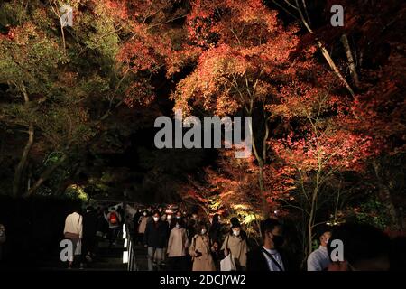 Kyoto, Japan. November 2020. Am Samstag, den 21. November 2020, genießen die Menschen die beleuchteten Herbstblätter im Eikando-Tempel in Kyoto. Die Menschen genossen farbenfrohe Herbstfärbung in Japans alter Hauptstadt inmitten des Ausbruchs des neuen Coronavirus. Quelle: Yoshio Tsunoda/AFLO/Alamy Live News Stockfoto