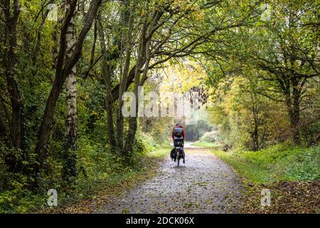 Ein Radfahrer fährt durch einen Tunnel von Bäumen, die Herbstfarben zeigen, auf dem Westerleigh-Zweig des Bristol and Bath Railway Path. Stockfoto