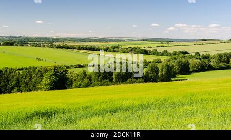 Landwirtschaftlich genutzten Feldern und Kreide Downland um die dünn besiedelten Tarrant Valley in Englands Dorset Downs Hügeln. Stockfoto