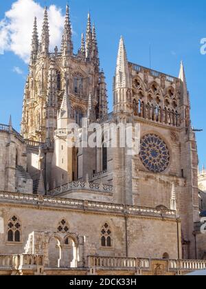 Die Kuppel der Kathedrale der Heiligen Maria - Burgos, Kastilien und Leon, Spanien Stockfoto