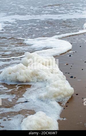 Schaum, Meeresboden, von der Brandung am Vorland aufgewüstert. Ankommende Gezeiten. Happisburgh. North Norfolk. Küste. Schaumbildung aus gelöster verfallender Alge, o Stockfoto