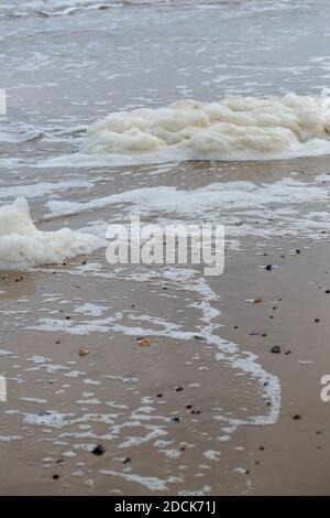 Schaum, Meeresboden, von der Brandung am Vorland aufgewüstert. Ankommende Gezeiten. Happisburgh. North Norfolk. Küste. Schaumbildung aus gelöster verfallender Alge, o Stockfoto