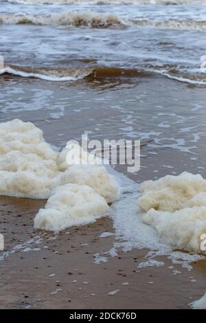 Schaum, Meeresboden, von der Brandung am Vorland aufgewüstert. Ankommende Gezeiten. Happisburgh. North Norfolk. Küste. Schaumbildung aus gelöster verfallender Alge, o Stockfoto