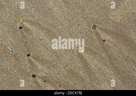 Kleine Feuersteinkiesel, mitten am Meer gewaschener Sand. Rückzug Gezeitenmarkierungen in der Oberfläche verursacht Richtungspfeilkopf Formen wie das Salzwasser links Stockfoto