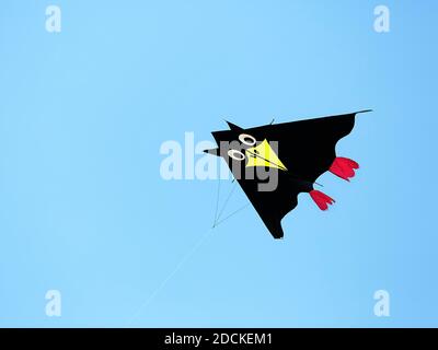 Drachen, schwarzer Vogel mit gelbem Schnabel und roten Füßen fliegen am blauen Himmel, Nordrhein-Westfalen, Deutschland Stockfoto