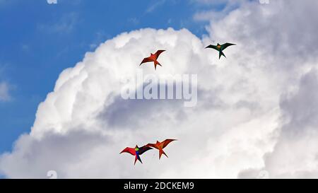 Vier bunte Drachen in Vogelform fliegen vor Cumuluswolken am blauen Himmel, Nordrhein-Westfalen, Deutschland Stockfoto