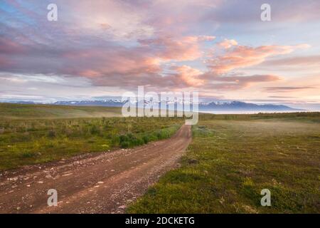 Schotterstraße durch Ebene im Herbst am Abend leicht, schneebedeckte Berge im Hintergrund, Norourping, Norourland eystra, Island Stockfoto