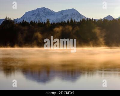 Morgennebel am Hintersee, hinter dem Hohen Goell Nationalpark Berchtesgaden, Ramsau, Oberbayern, Bayern, Deutschland Stockfoto