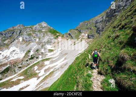 Wanderer auf einem Wanderweg, 5-Gipfel-Klettersteig, Rosskopf im Rücken, Wandern im Rofangebirge, Tirol, Österreich Stockfoto