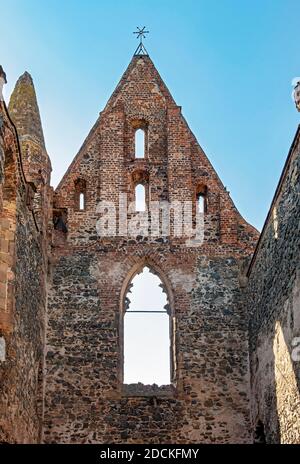 Ruiniert Rosa Coeli Kloster, Dolni Kounice, Tschechische Republik Stockfoto