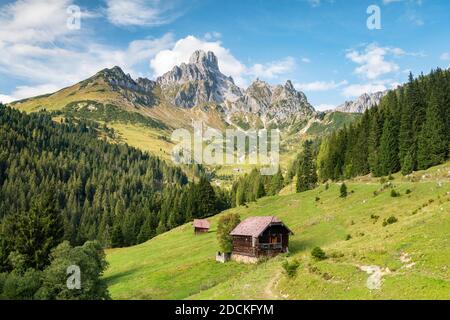 Bischofsmiter mit Alp im Vordergrund, Aualm, Filzmoos, Salzburg, Österreich Stockfoto