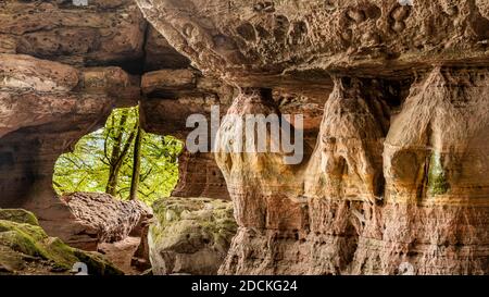 Altschlossfelsen, Pfälzer Wald, Rheinland-Pfalz, Deutschland Stockfoto