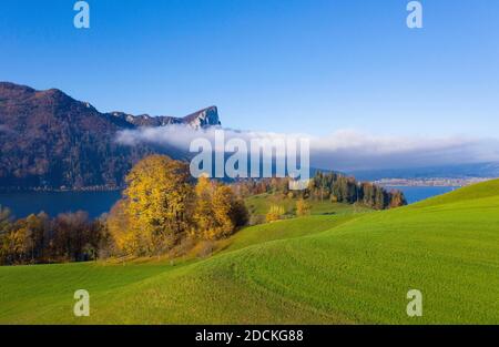 Blick vom Pichl Auhof auf Mondsee und Drachenwand, Drohnenaufnahme, Luftaufnahme, Mondseeland, Salzkammergut, Oberösterreich, Österreich Stockfoto