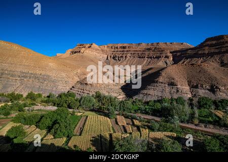 Berge, erodierte Landschaft mit Flussoase und kleinen Feldern im oberen Dades-Tal, Oued Dades bei Msemrir, hoher Atlas, Süd-Marokko, Marokko Stockfoto