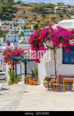 Malerische Gasse in lefkes Paros griechische Insel mit einer voll blühenden Bougainvillea !! Weiß getünchte traditionelle Häuser mit blauer Tür und Blumen alle ov Stockfoto