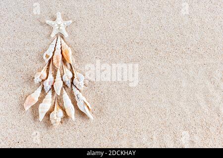 Muscheln und Sternfisch Weihnachtsbaum auf klarem Sand, Draufsicht mit Kopierraum Stockfoto