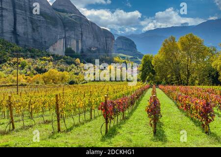 Blick auf den Weinberg ein schöner Herbsttag in Meteora, Griechenland. Stockfoto