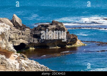 Die Klippen des Cape Northumberland in Port MacDonnell South Australien am 10. November 2020 Stockfoto