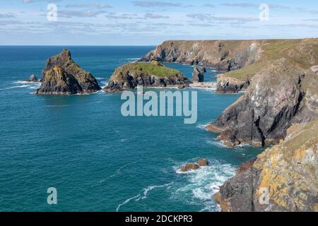 Mit Blick auf Kynance Cove auf der Lizard-Halbinsel, South Cornwall, Großbritannien Stockfoto