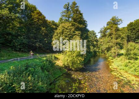 Bily Kostel nad Nisou (Weißkirchen an der Neiße) : Fluss Luzicka Nisa (Lausitzer Neiße, Lausitzer Neiße) in , Liberecky, Region Liberec, Reichenberg Stockfoto