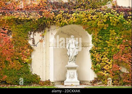 Wand mit schrillernder Pflanze bunte Blätter und Statue in Wien Herbstsaison Stockfoto