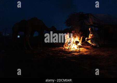 indische Kameraleuten machen Tee am frühen Morgen in Sanddünen der Thar Wüste mit selektivem Fokus auf Thema und hinzugefügt Lärm und Getreide. Stockfoto