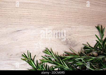 Leichtes Holzbrett mit frischen Rosmarinzweigen, Designvorlage Stockfoto