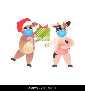 Kleine Oxes in santa Hüte Kühe tragen Masken zu verhindern Coronavirus Pandemie Neujahr Winterferien Feier Konzept in voller Länge vektorgrafik Stock Vektor