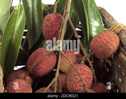 LITSCHI oder LITCHEE Litchi Sinensis IN A BASKET Stockfoto