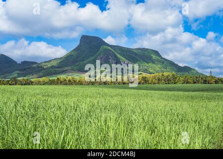 Panoramablick auf Berge und Zuckerrohrfelder in Mauritius, Afrika Stockfoto