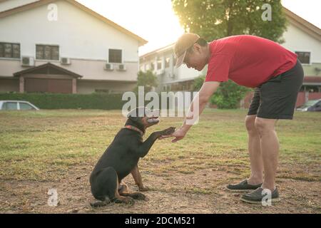 Hundepfote auf der Hand eines erwachsenen Mannes. Lehr Hund auf der Hand schütteln. Freundschafts- und Unterstützungskonzept. Stockfoto