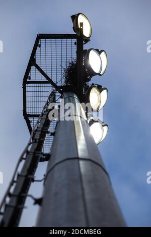 Blick auf beleuchtetes Flutlicht von unten auf Sport / Fußball / Fußballstadion Stockfoto