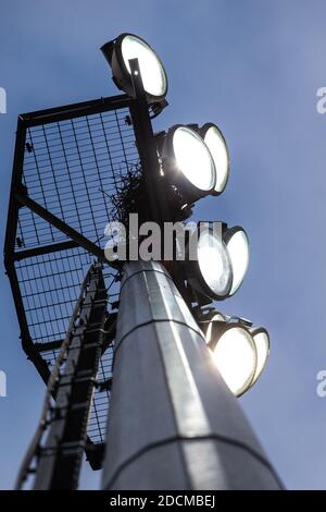 Blick auf beleuchtetes Flutlicht von unten auf Sport / Fußball / Fußballstadion Stockfoto