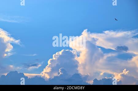 Blick auf einen Sommerhimmel hinter Wolken beleuchtet Bei der untergehenden Sonne mit einem aufsteigenden Falken sichtbar Stockfoto