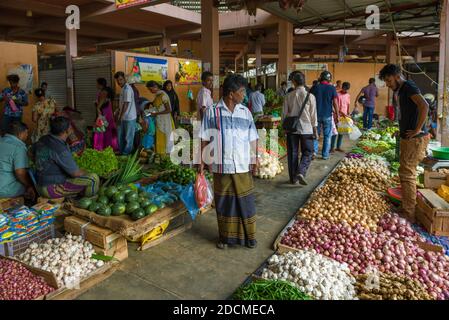 TRINCOMALEE, SRI LANKA - 11. FEBRUAR 2020: Auf dem städtischen Lebensmittelmarkt. Stockfoto