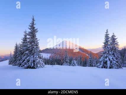 Hohe Berge mit schneeweißen Gipfeln. Winterwald. Bäume in den Schneeverwehungen. Hintergrund des Hintergrundbilds. Natürliche Landschaft mit schönen Himmel. Die Wiederbelebung Stockfoto