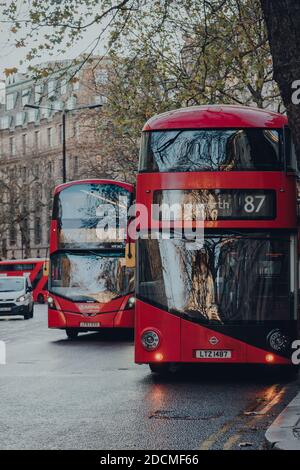 London, Großbritannien - 19. November 2020: Reihe von modernen roten Doppeldeckerbussen auf einer Straße in London. Ikonische rote Busse sind ein integraler Bestandteil von Transport for Lo Stockfoto