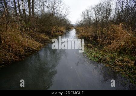 Geschwollener Drweca River, der im Winter durch Feuchtgebiete fließt Stockfoto