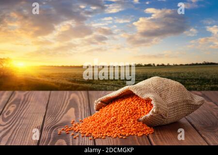 Rote Linsen im Sackleinen trocknen Stockfoto