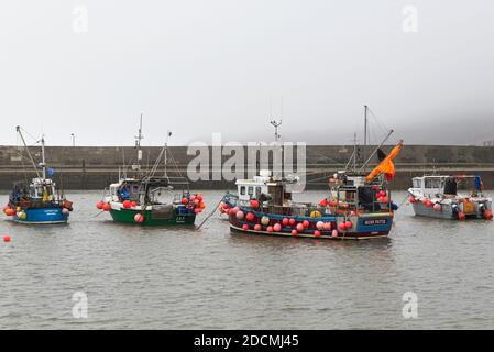 Fischerboote und Vergnügungsboote im Hafen von Lyme Regis an der Jurassic Coast in Dorset England an einem nebligen Wintertag. Stockfoto