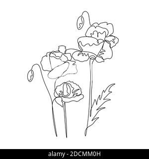poppy eine Linie Zeichnung. Kontinuierliche Linie Blume. Handgezeichnete Illustration für Logo, Emblem und Design-Karte, Poster. Vektor... Stock Vektor