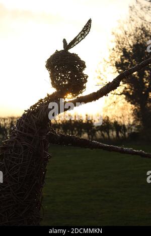 Rollright Weidenwitch Stockfoto